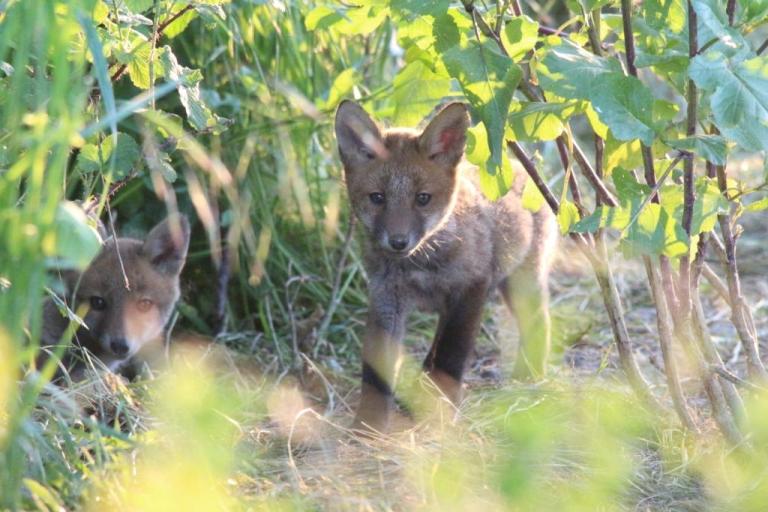 IMG_3978 - Copie.jpg