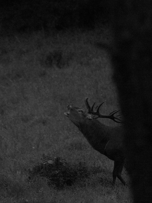 IMG_3266.JPG