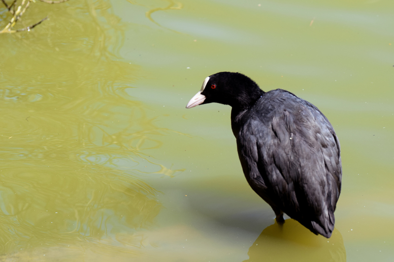 DSC_0375.JPG