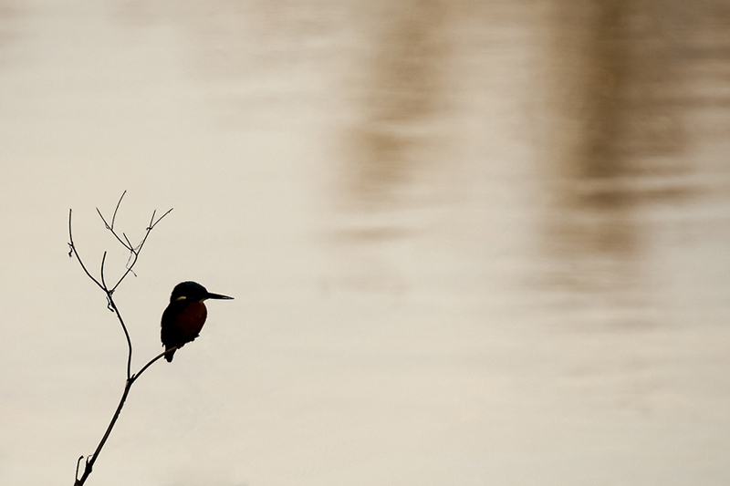 _MG_75663.jpg