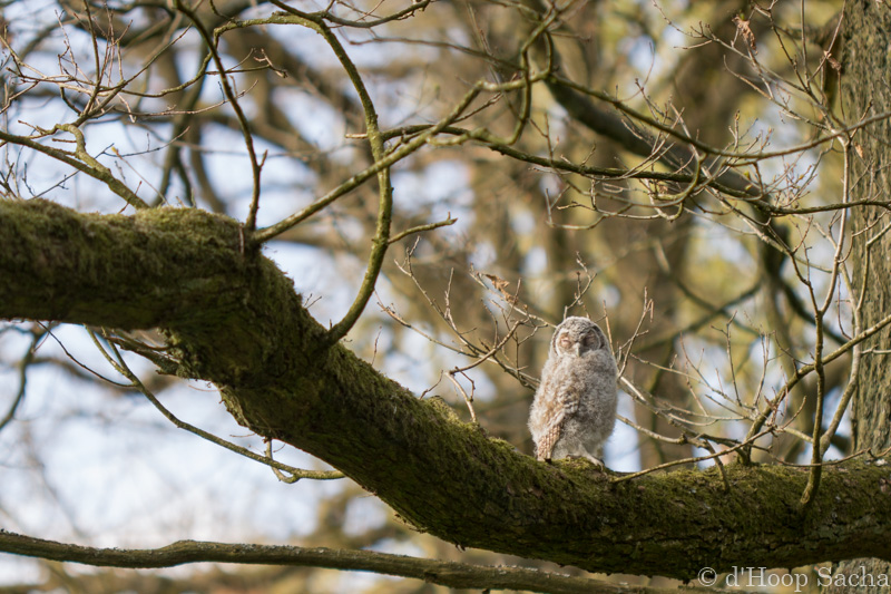 Image et Nature-1-13.jpg