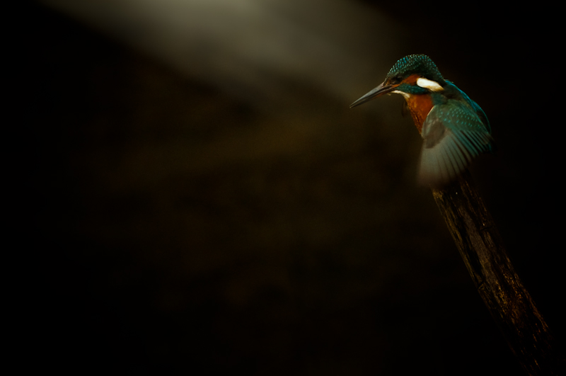 20141209-_DSC4014-Modifier-2-Modifier.jpg