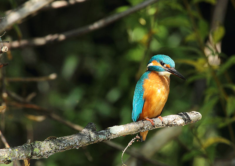 IMG_3573 Martin.jpg