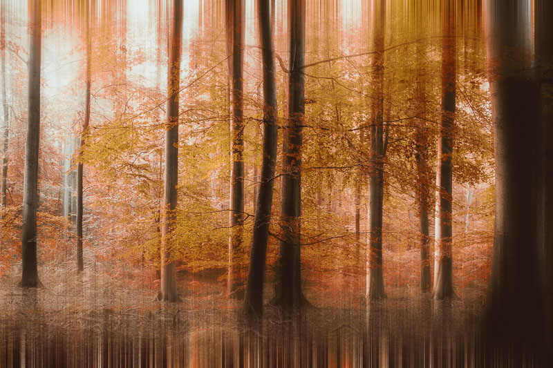 2014halatte#30UR19.jpg