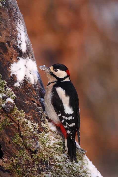 FotoSketcher - PIC EPEICHE41.jpg