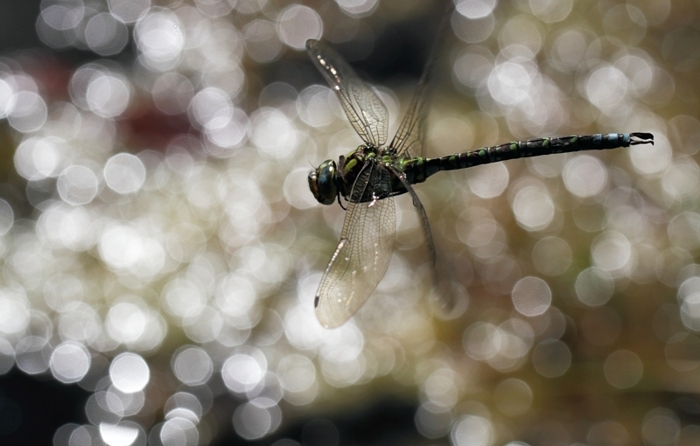 img_7672 web2.jpg