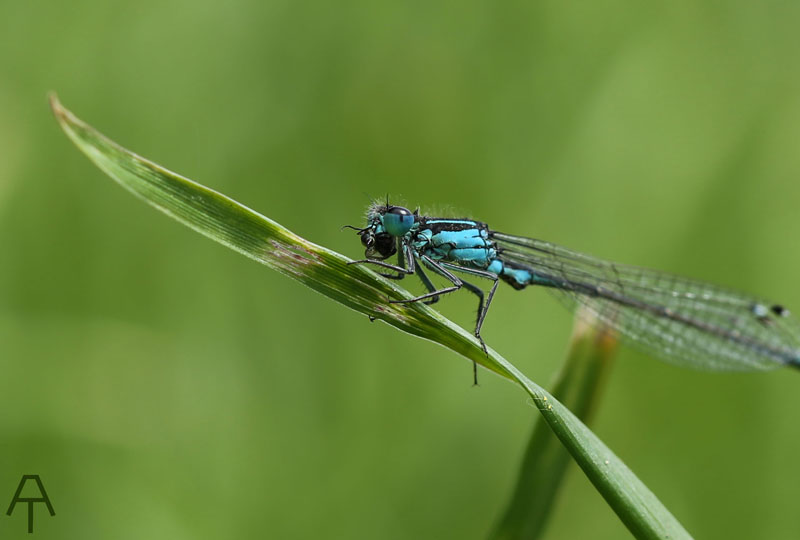 5G7A2576.JPG