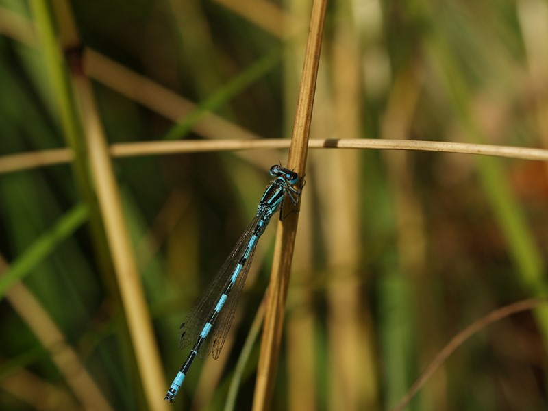 P7224580 [I&N].JPG
