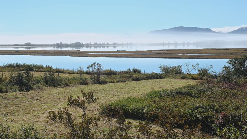 IMG_5423 - Version 2.jpg