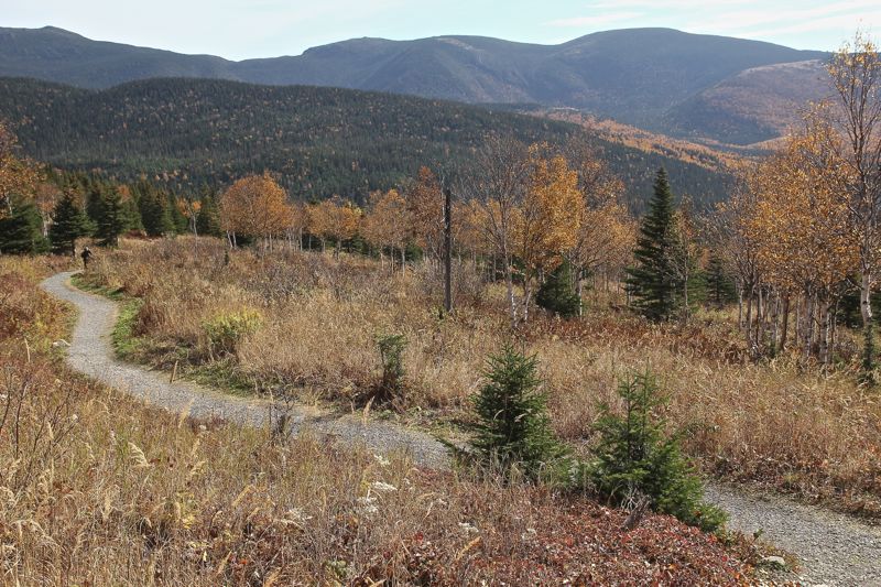 IMG_5931 - Version 2.jpg