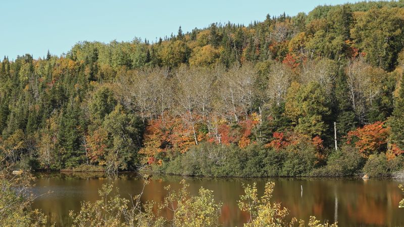 IMG_6038 - Version 2.jpg