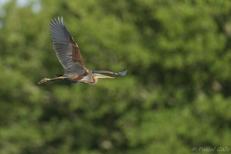 DSC_7343.jpg