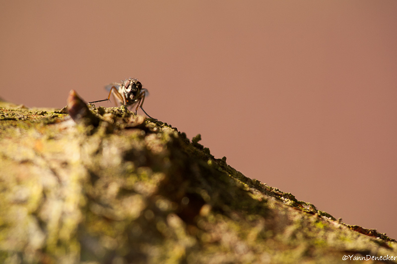 15042015-JG9C5083.jpg