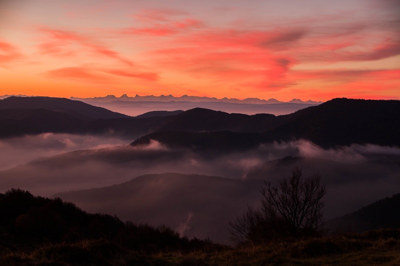 Photoconcours (3).jpg