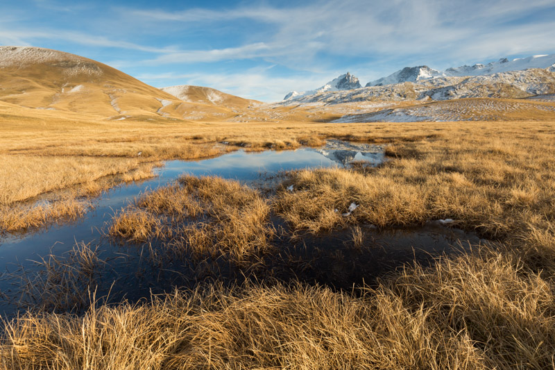 IMG_4575 - The Place To Be-1.jpg