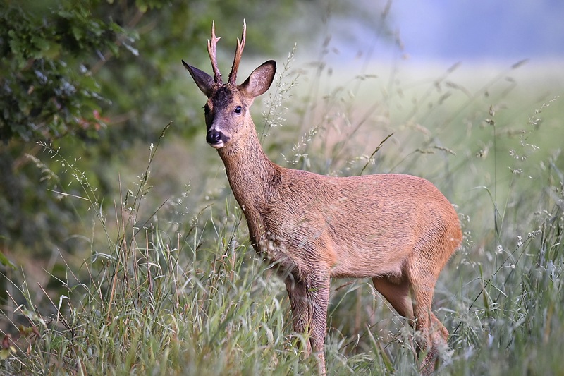 concours_image_et_nature.jpg