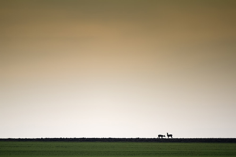 ymonville_29-11-2014-15-25-36_0016.jpg