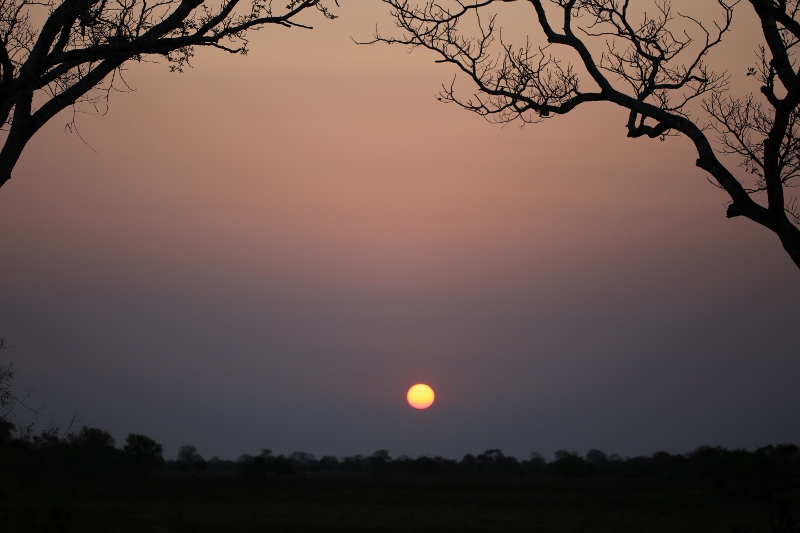 111 Coucher de soleil.jpg