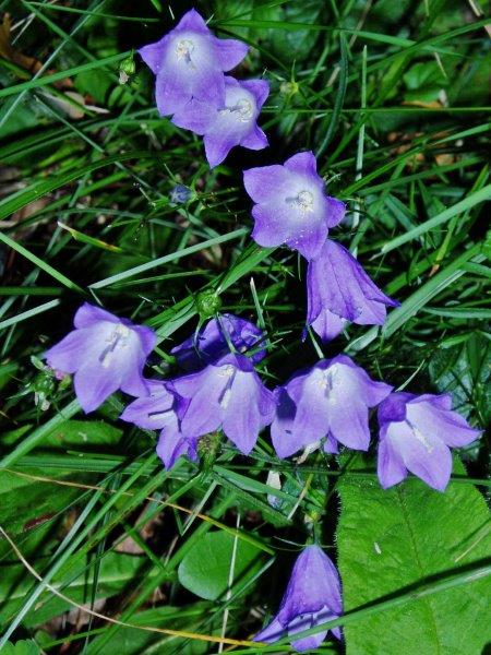 SEPTEMBRE 2005 (383).jpg