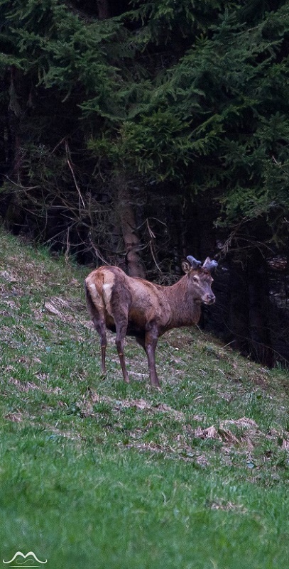 DSC_0289 - Copie.jpg