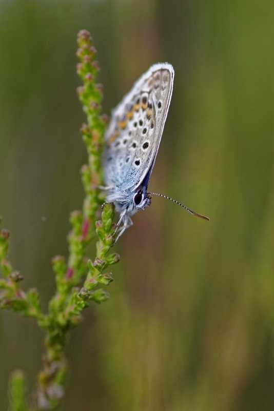 3C8A6423_DxO.jpg
