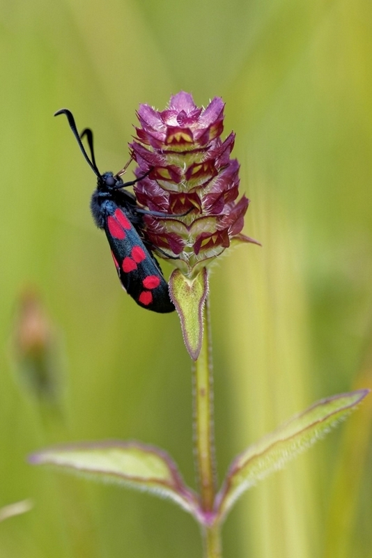 3C8A8681_DxO.jpg
