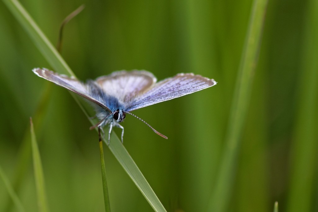 3C8A6321_DxO.jpg