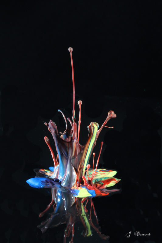 IMG_1289 im et nature.jpg