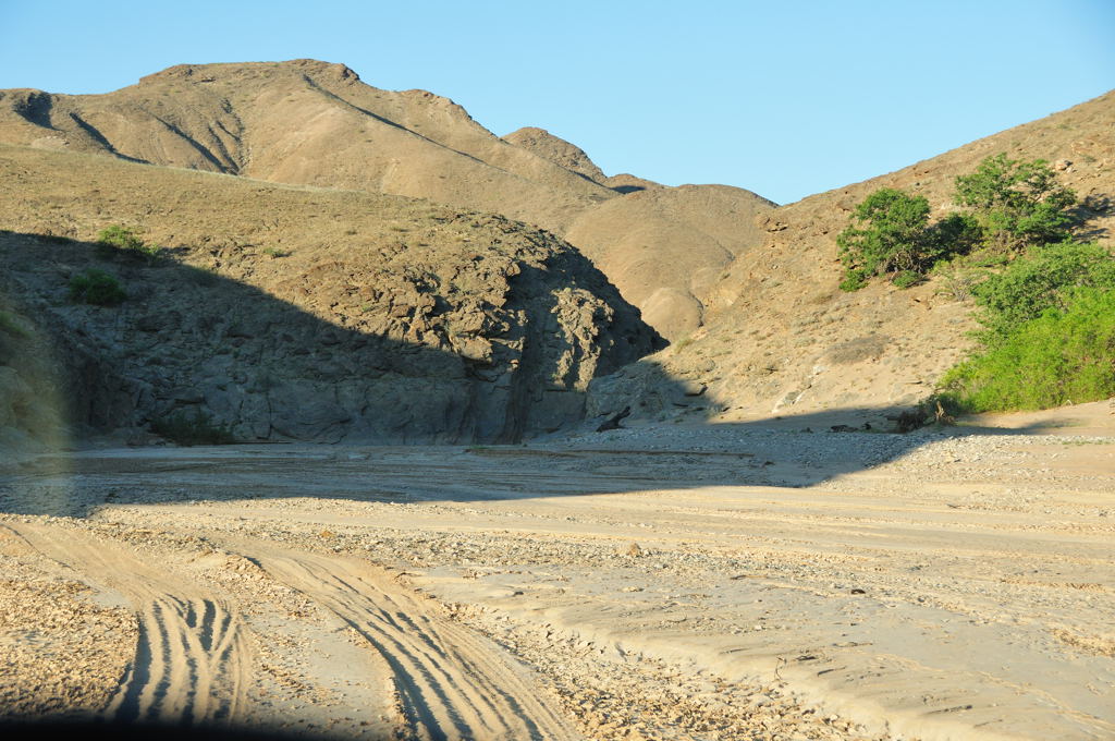 DSC_4371.jpg