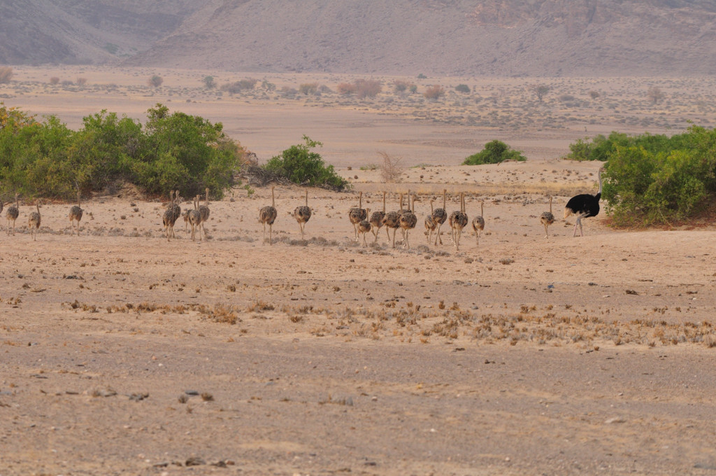 DSC_4771.jpg