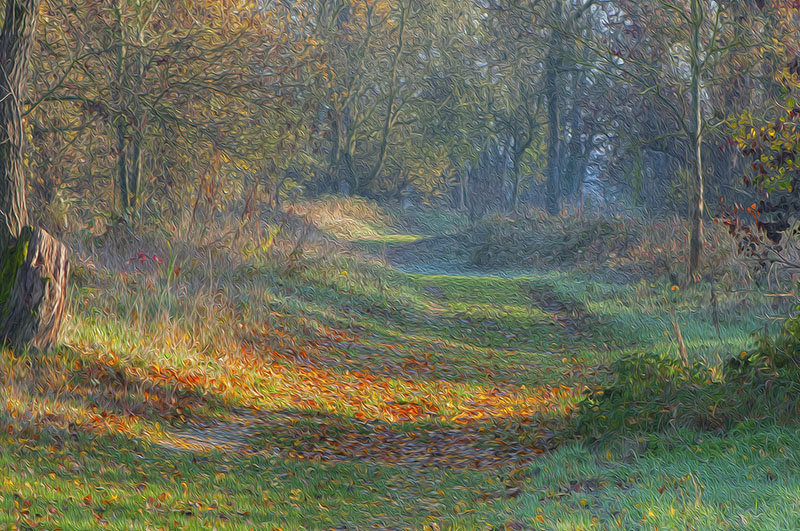 12-Chemin du peintre.jpg