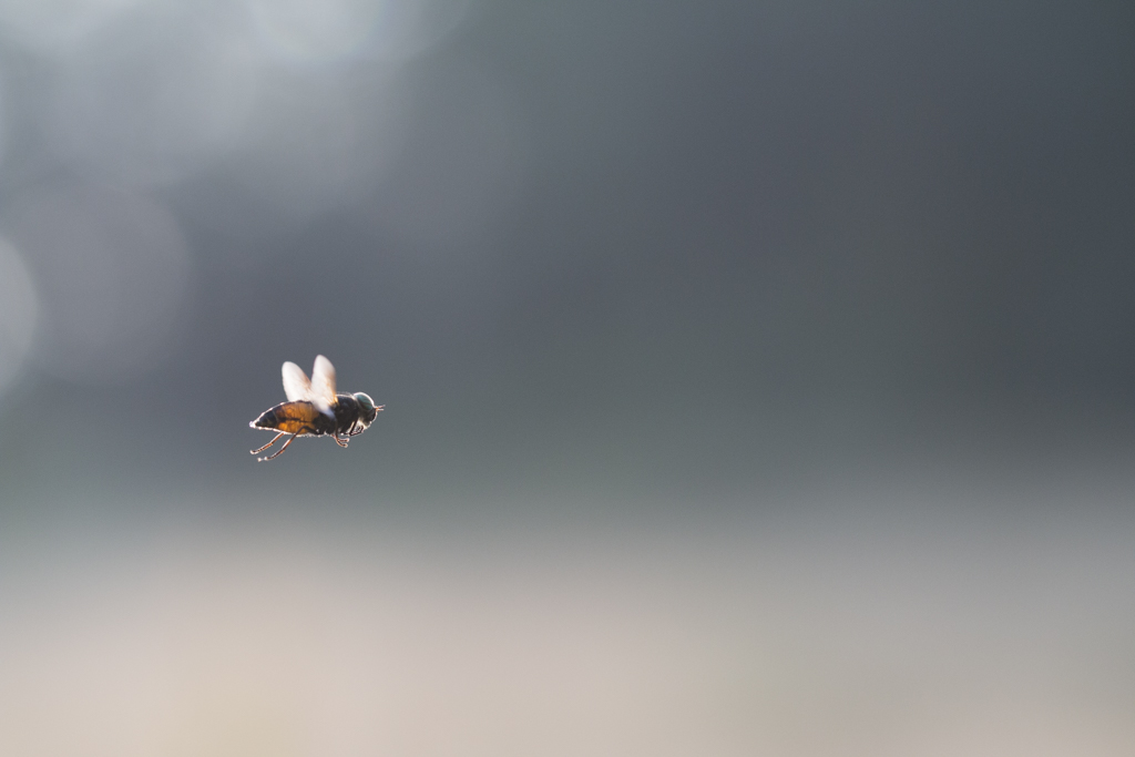 201406- Radiographie.jpg