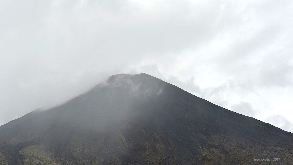 DSC_0167 IN.jpg