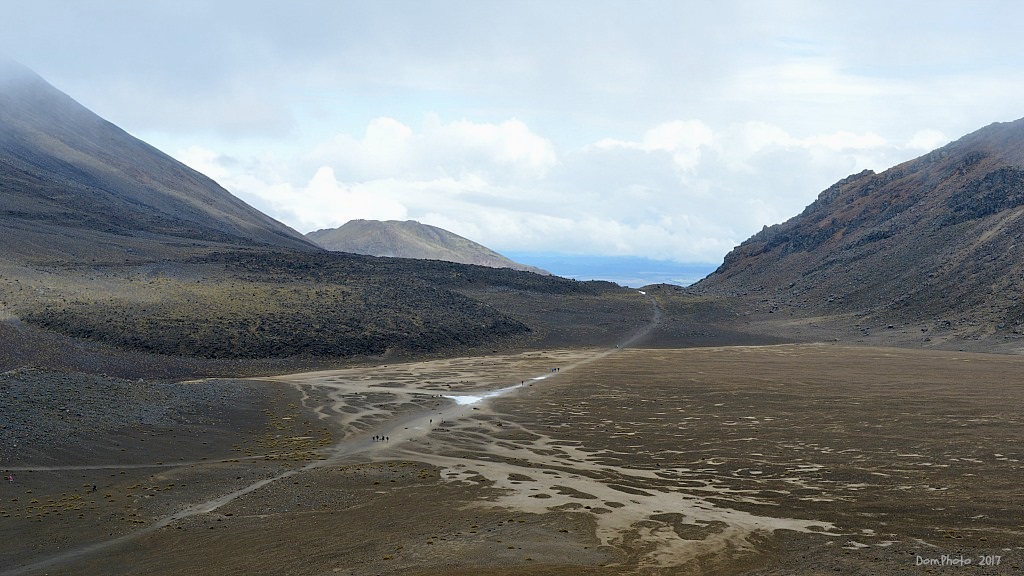 DSC_0204 IN.jpg