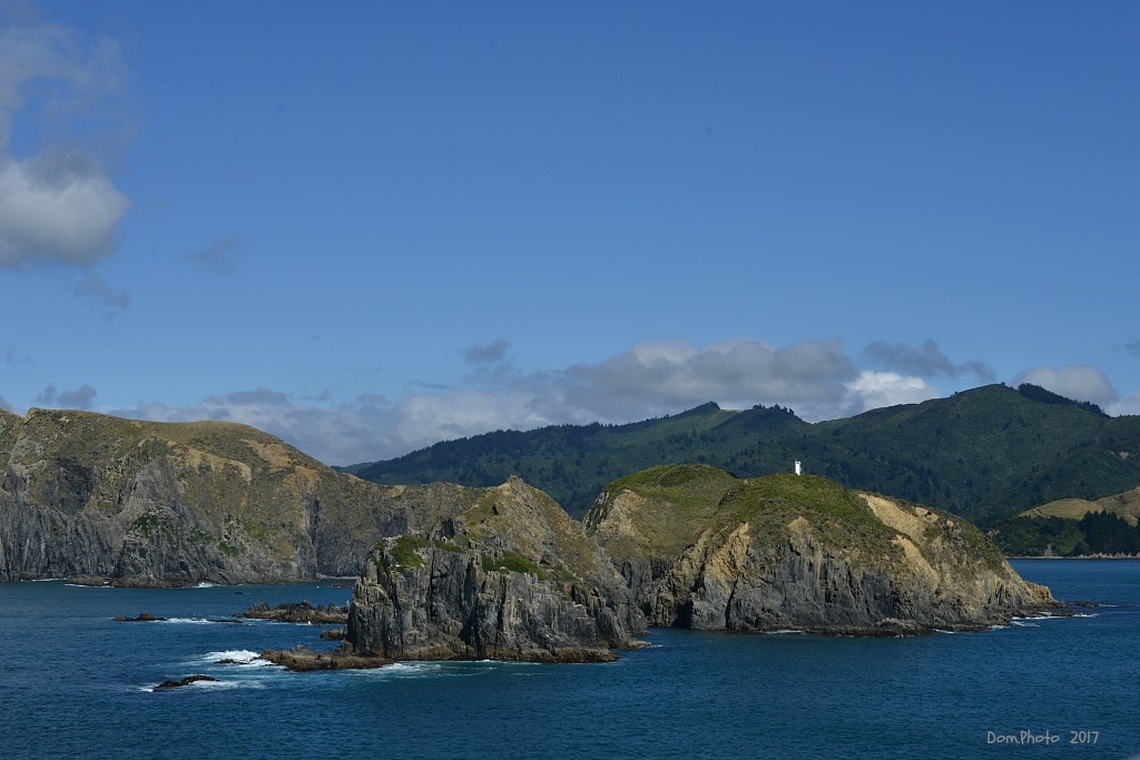 DSC_0387 IN.jpg