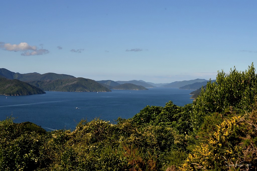 DSC_0424 IN.jpg
