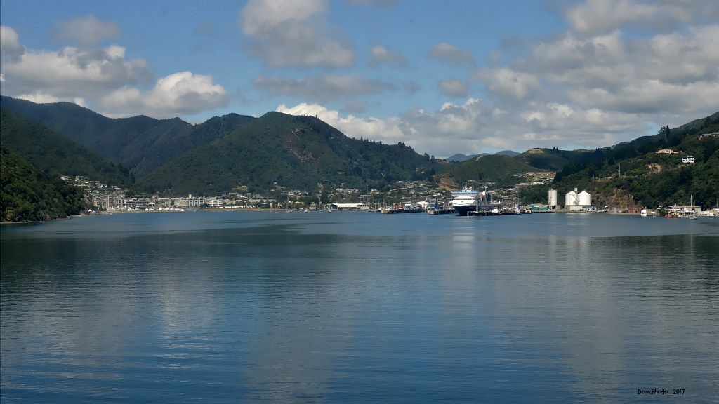 DSC_0412 IN.jpg