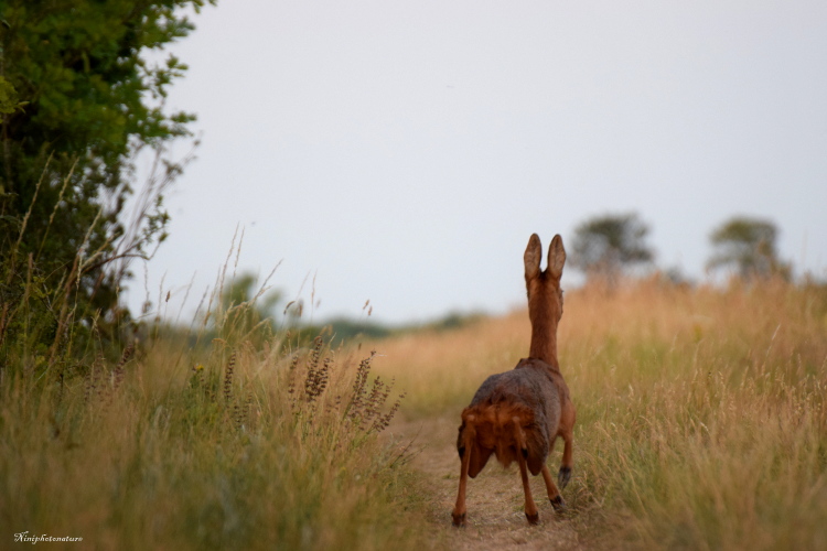 26 juin  (13)-001.JPG