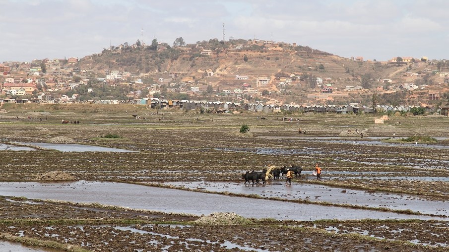04 Tananarive.jpg
