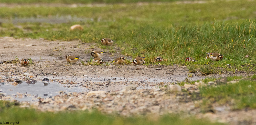 bilebeaude1 2018-2.jpg