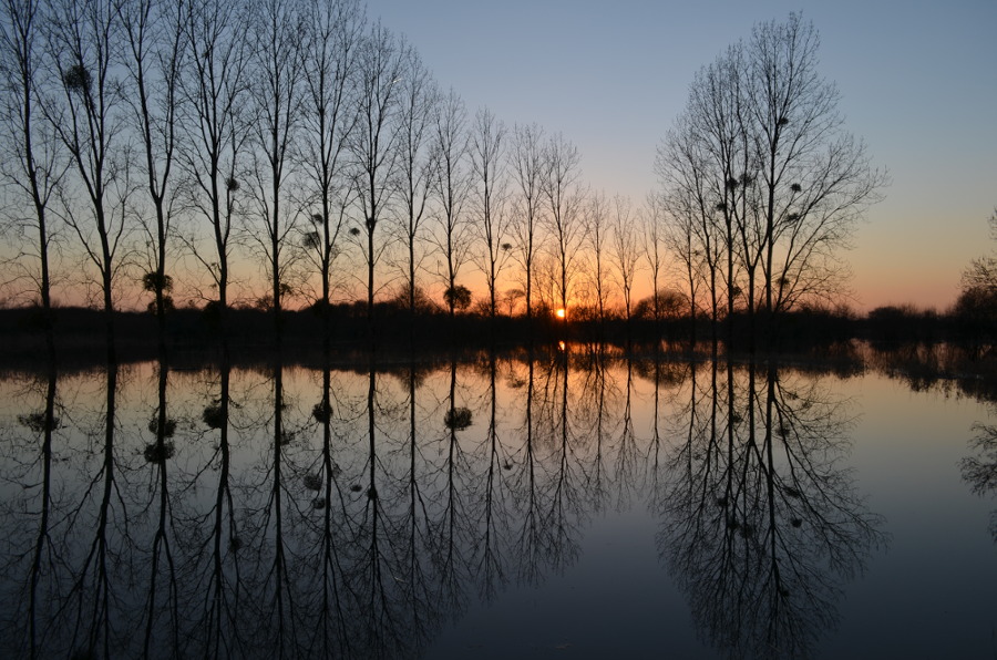 DSC_0112bon.JPG