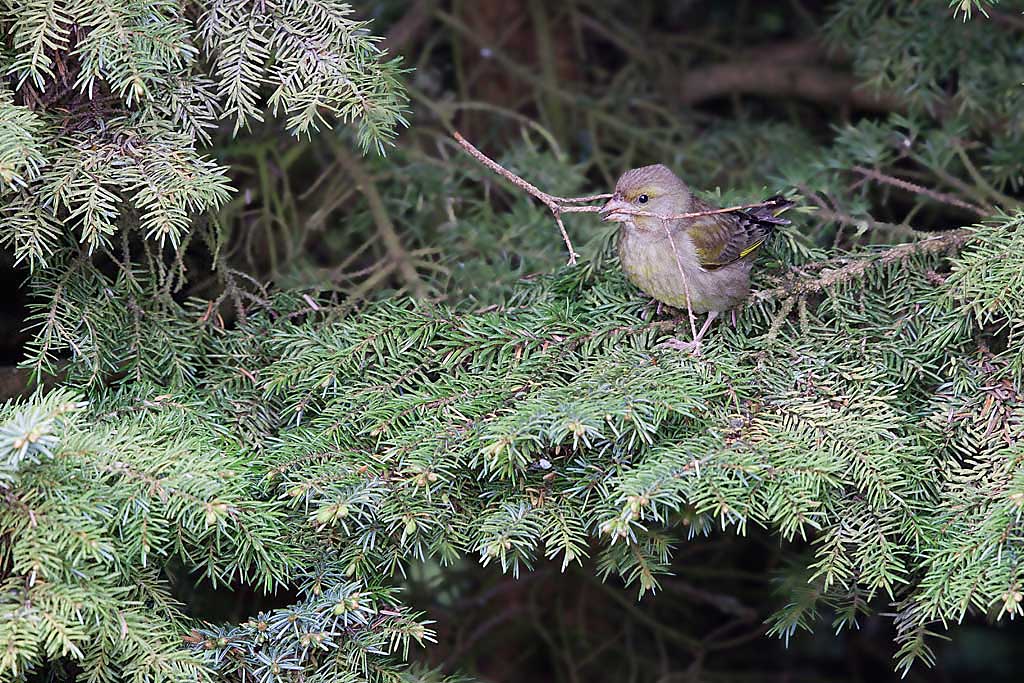 IMG_1875 IN.jpg
