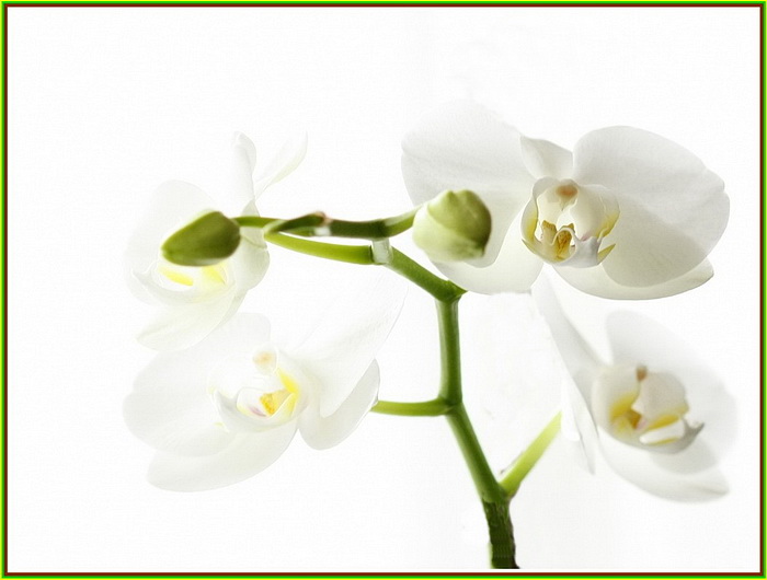 REDIM.encadrÃ©e 3.jpg