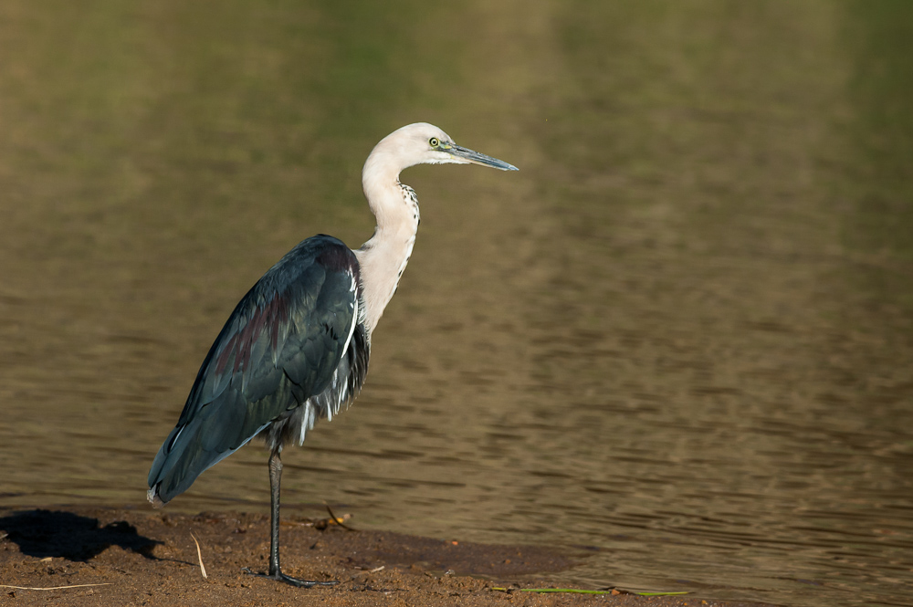 DSC_2486.jpg