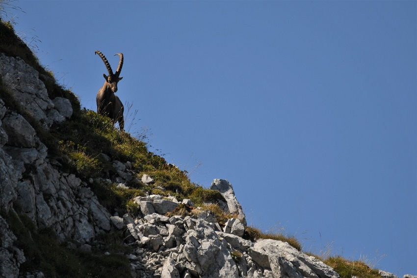 DSC_0710 - Copie.jpg