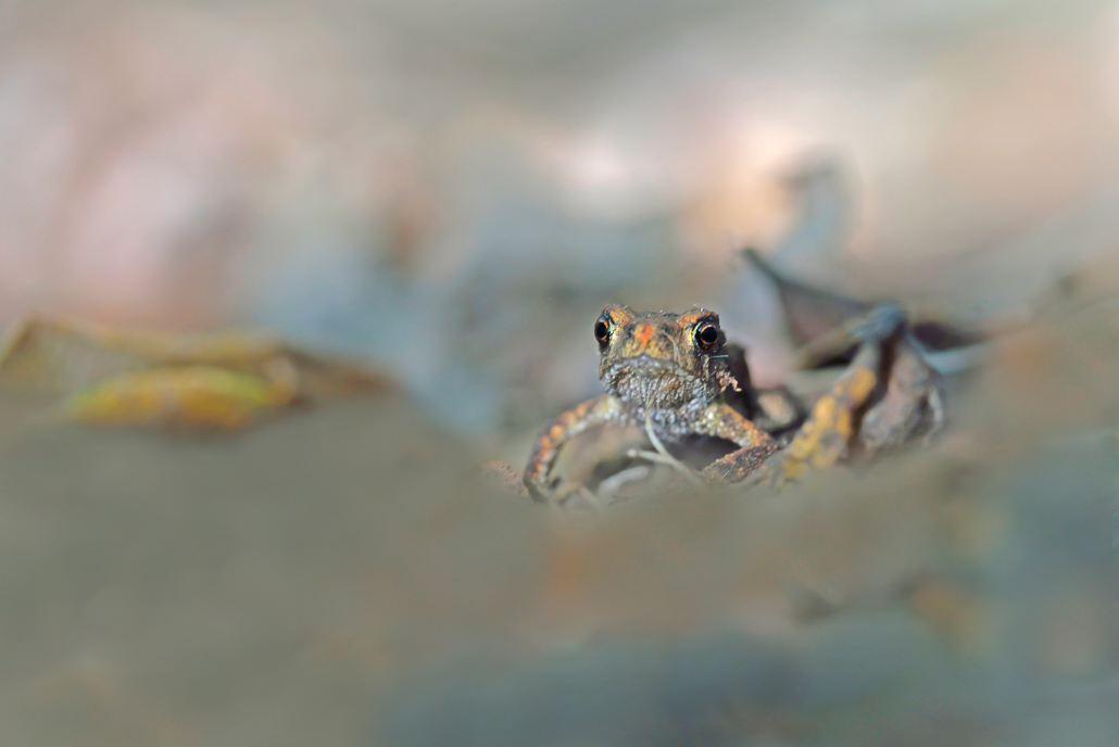 copie 001-01 (2).jpg