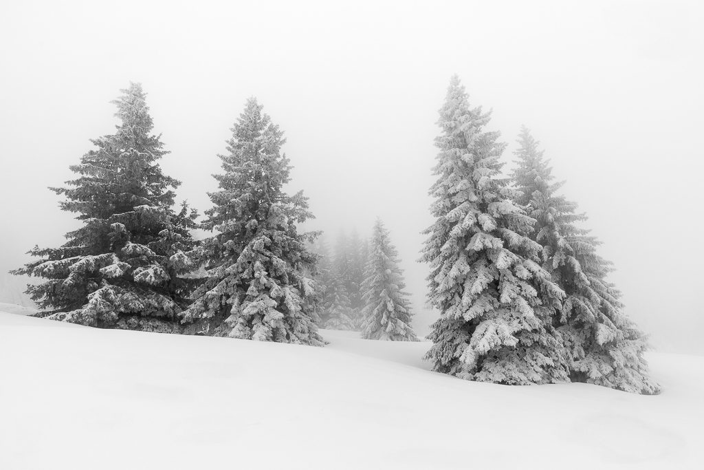 concours paysages enneigés-3.jpg