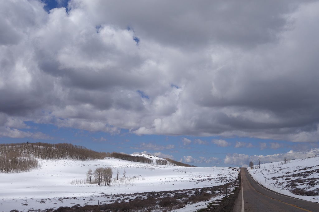 113 Route vers Brice Dixtie forest.JPG