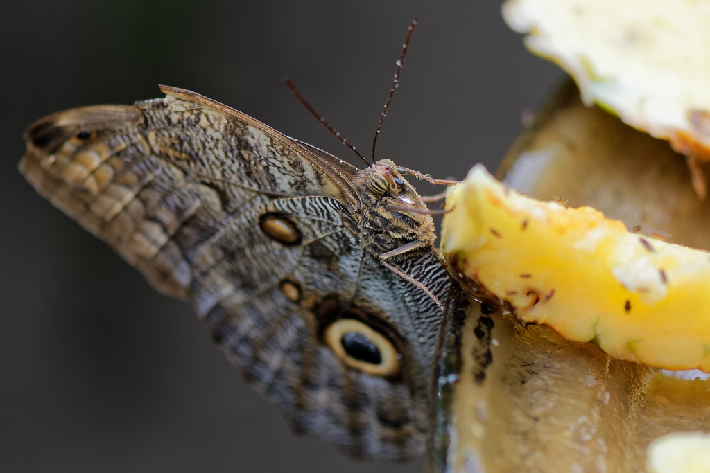 DSC_1641_DxO.JPG