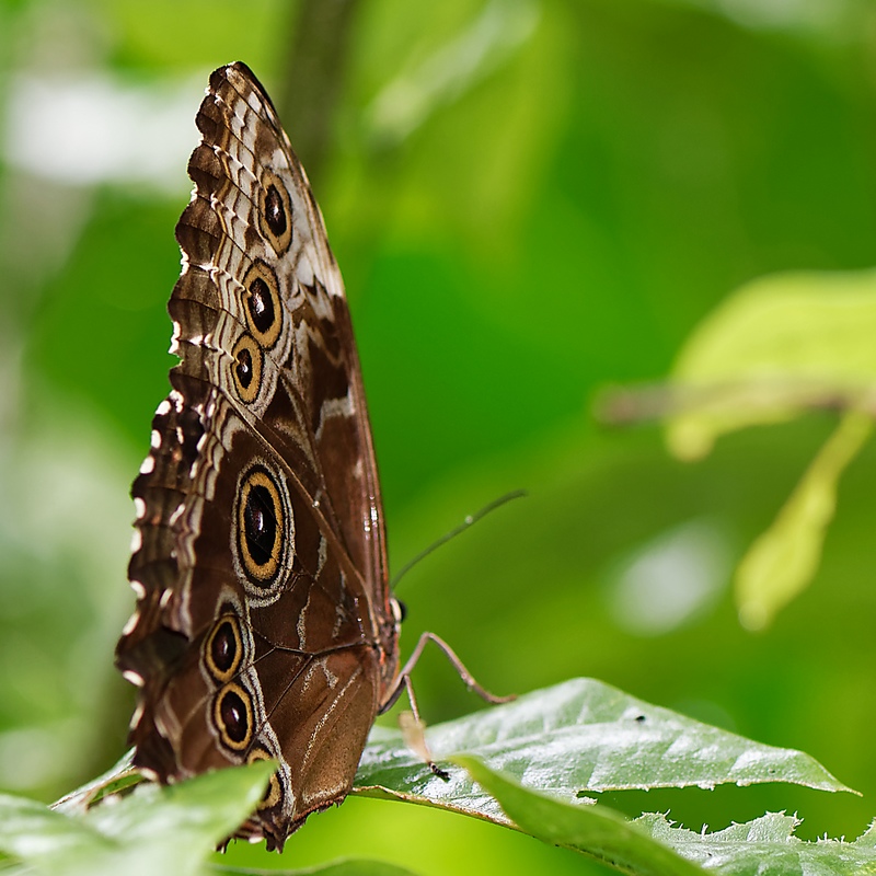 DSC_1657_DxO.JPG
